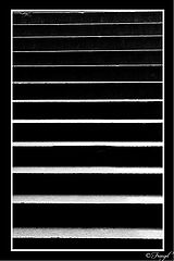 photo "Step by step"