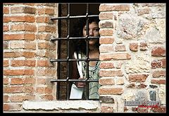 photo "Behind the window"