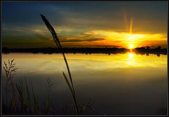 photo "***"