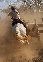 фото "riding the dust.."