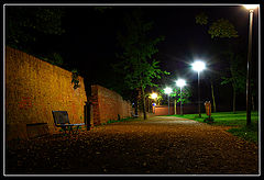 photo "In a warm summer night"