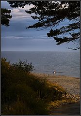 photo "Promenade"