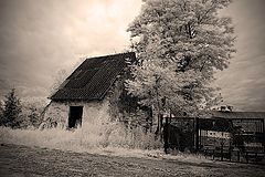 photo "PICTURE"