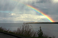 фото "Yellowstone lake"