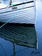 фото "Reflection."