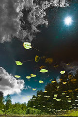 photo "***"