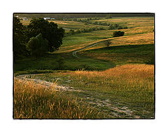 photo "Bucovina Dream"