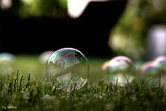 фото "bubble"