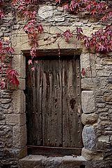 photo "la puerta"