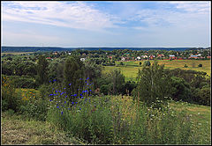 photo "Summer"