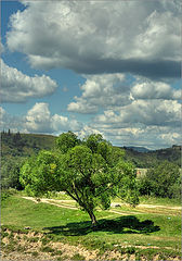 photo "***"