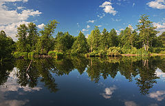 фото "Отражения"