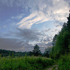 photo "Landscape in evening"