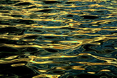 фото "Sparkles"