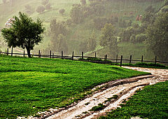 photo "."