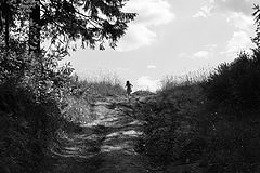 photo "***"