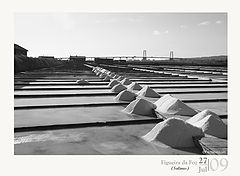 фото "salt"