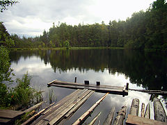 photo "Forest lake"