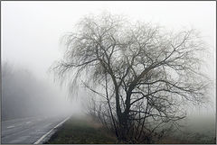 photo "***"