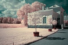 photo "Petergof"