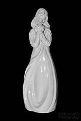фото "STATUE"