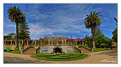 фото "park"