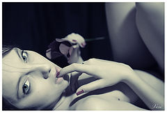 photo "mp"