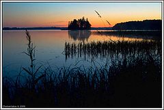 photo "***"