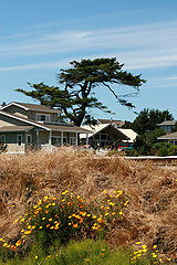 фото "San Juan Island"