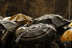 photo "***"