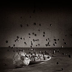 photo "G"