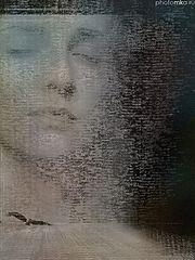 photo "digital signal"