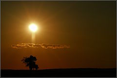 photo "***"