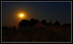 photo "Under the full moon"