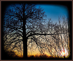 photo "sunset"