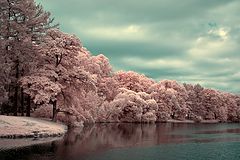 photo "***"