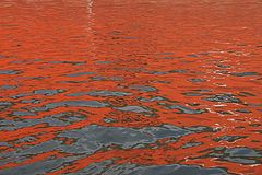 photo "Paint"