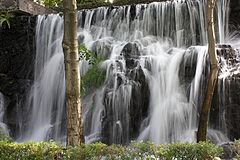 фото "Cascada"