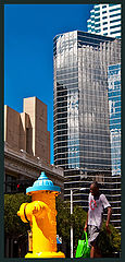 фото "Tampa heat"