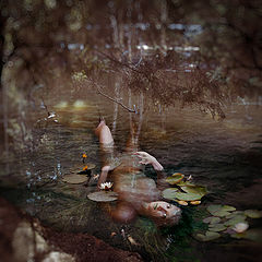 photo "***"