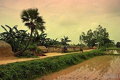 фото "VILLAGE"