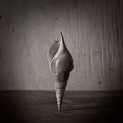 photo "L"