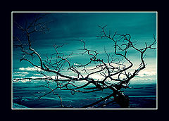 photo "Day Night"