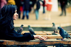 photo "Pigeon and Beauty"