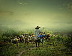 photo "Shepherd"