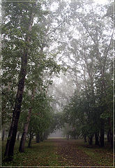 photo "fog 3"
