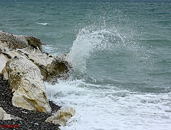 photo "***"