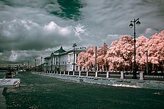photo "infrared S.Petersburg"