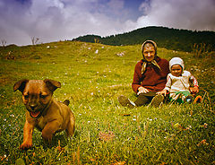 photo "***"