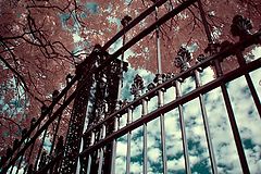 photo "***"